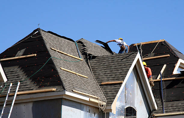 Best Roof Insulation Installation  in Emporia, VA