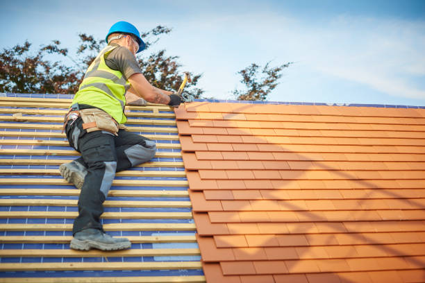 Best Skylight Installation and Repair  in Emporia, VA